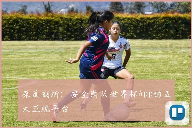 深度剖析：安全购买世界杯App的五大正规平台